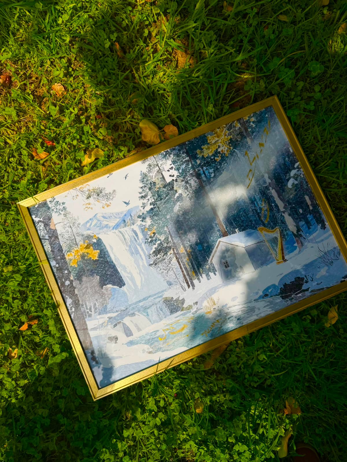 Shamil framed artwork laid flat on grass