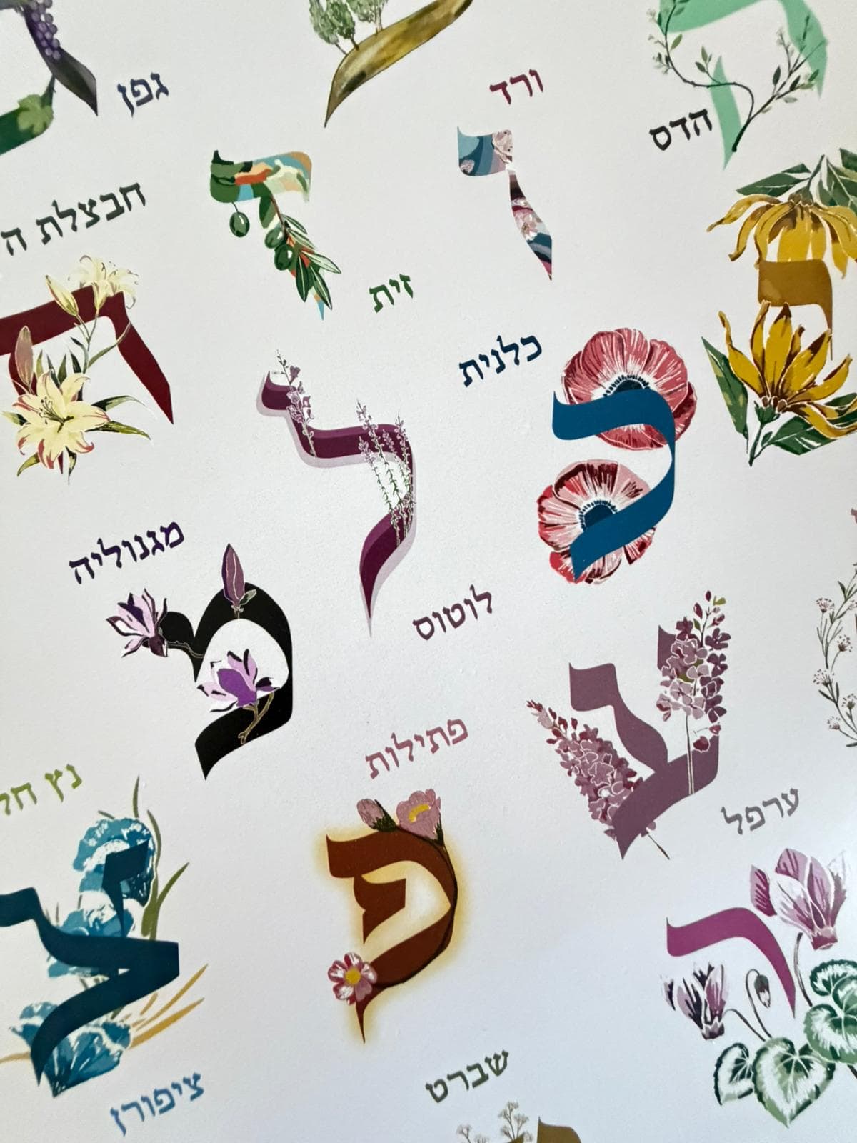 Illustrated Alef Bet poster with flowers